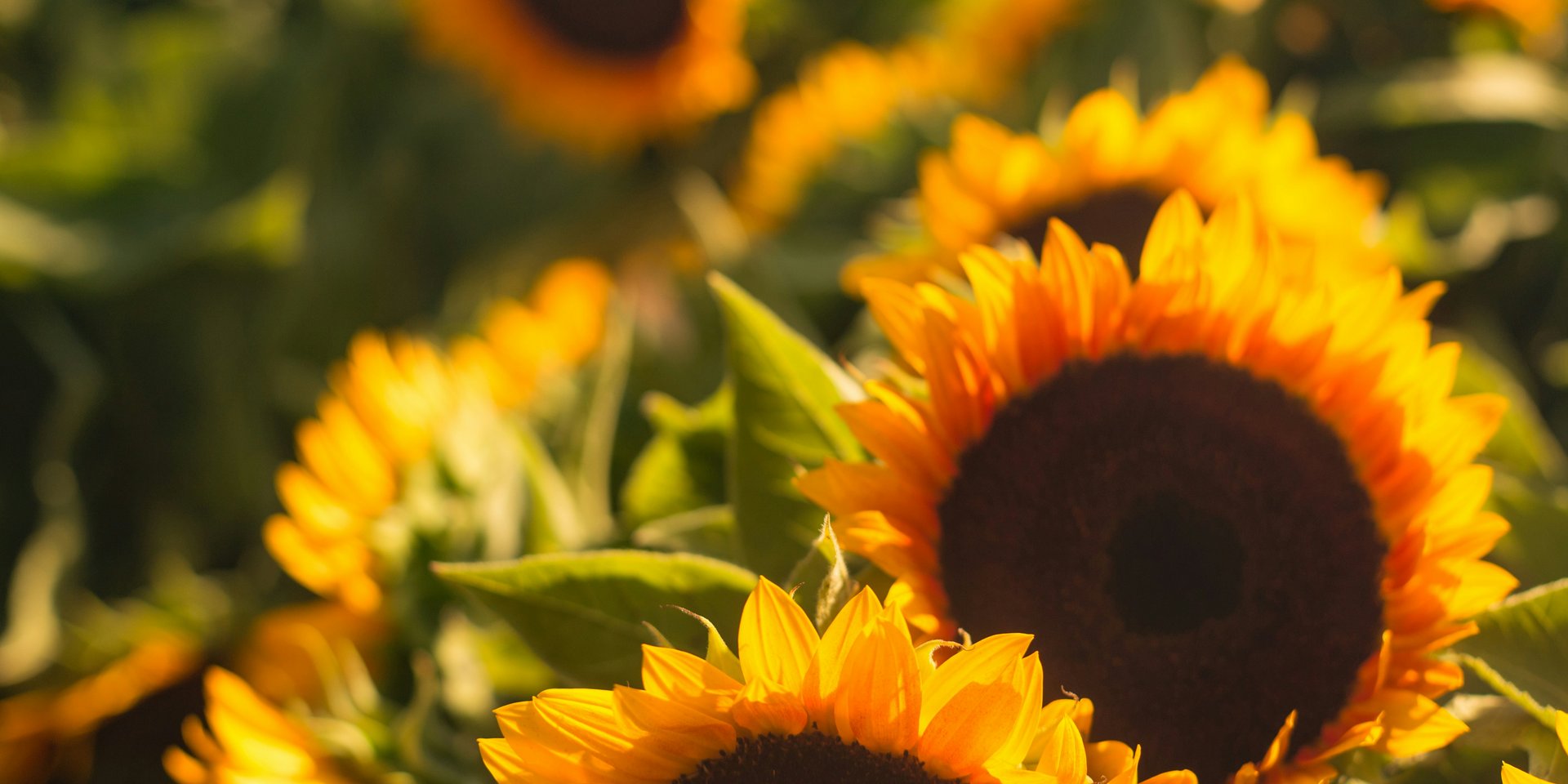 Foto von Patrick Fore